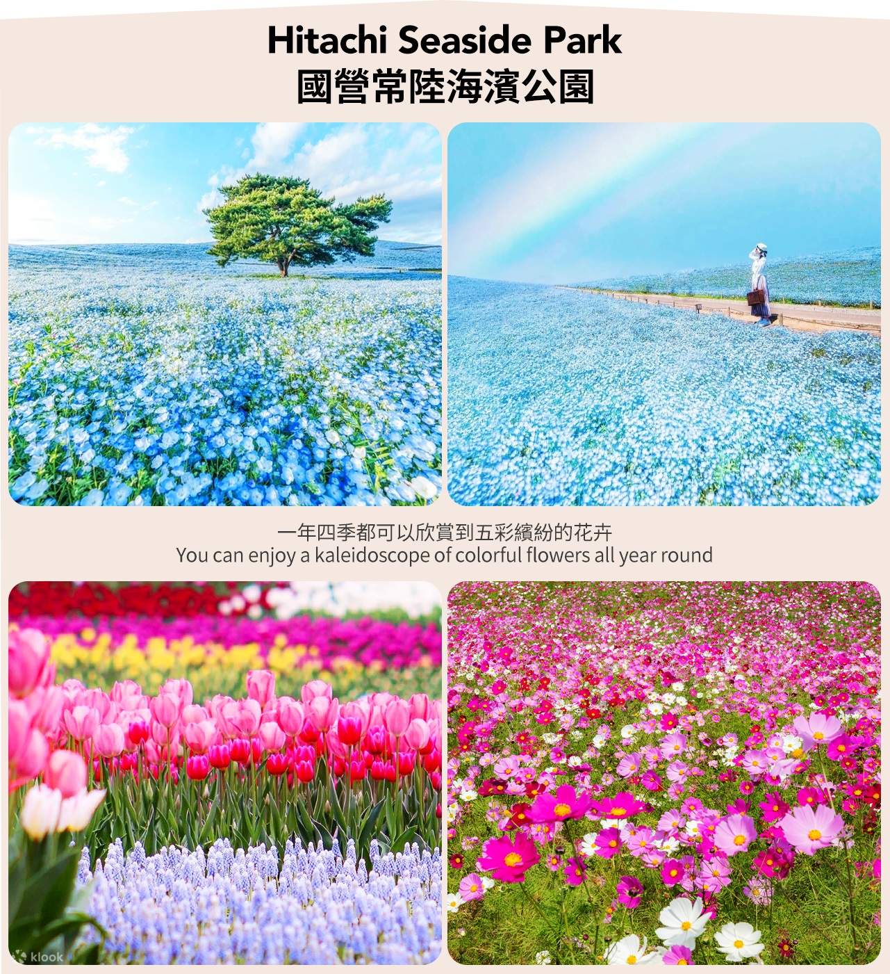 Real Estates | Hitachi Seaside Park, nestled in Ibaraki